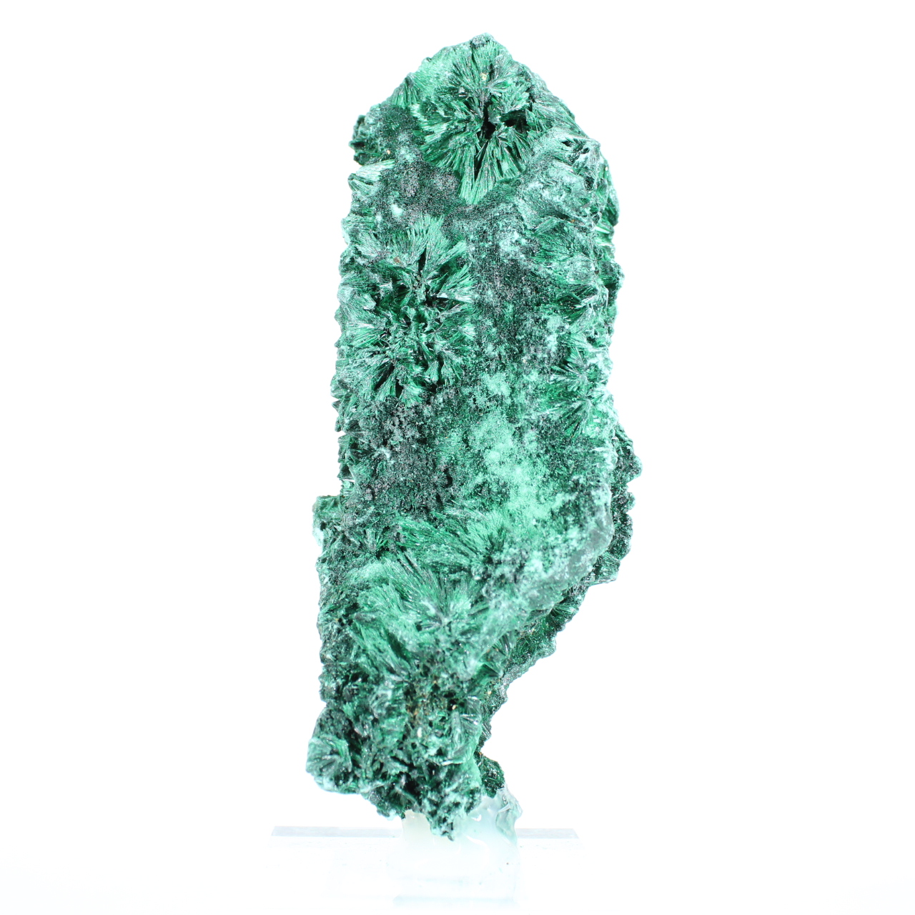 Zuil van vezelige malachiet uit Congo, specimen op acrylen voet