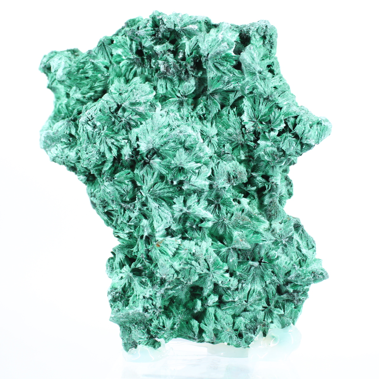 Vezelige malachiet met platte vorm uit DRC, decoratief mineraal op voet