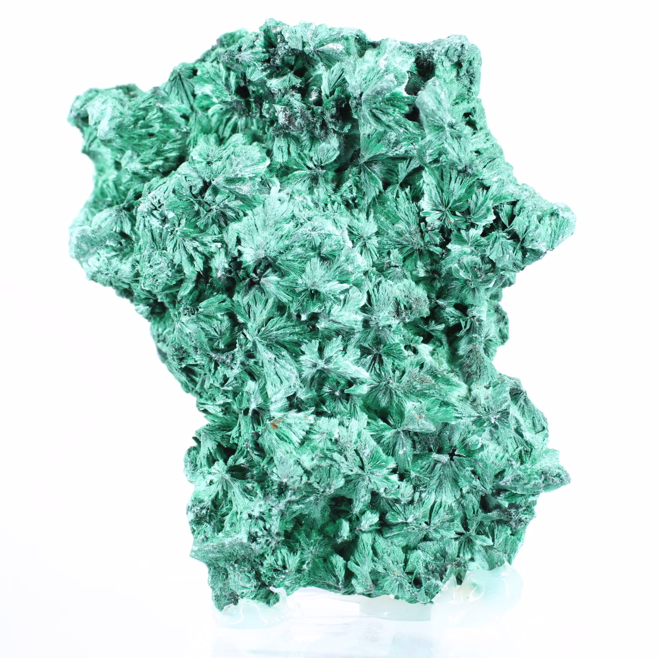 Vezelige malachiet met platte vorm uit DRC, decoratief mineraal op voet