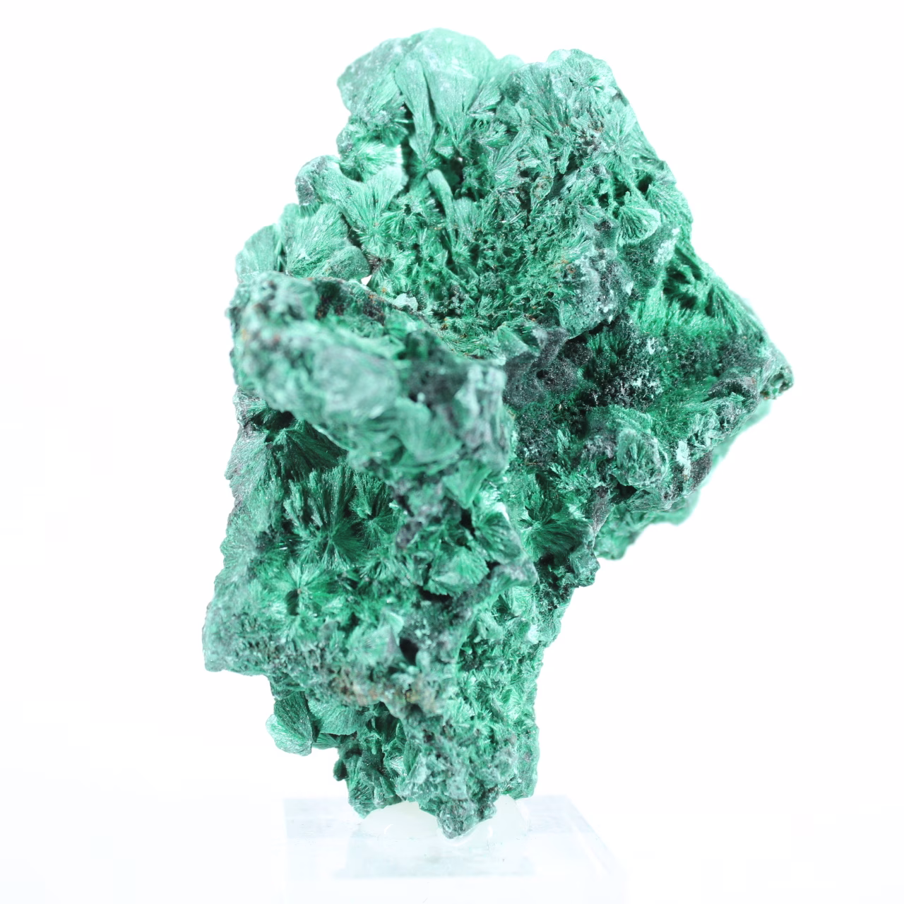 Malachiet uit Congo met vezelige structuur, mineraalspecimen op voet