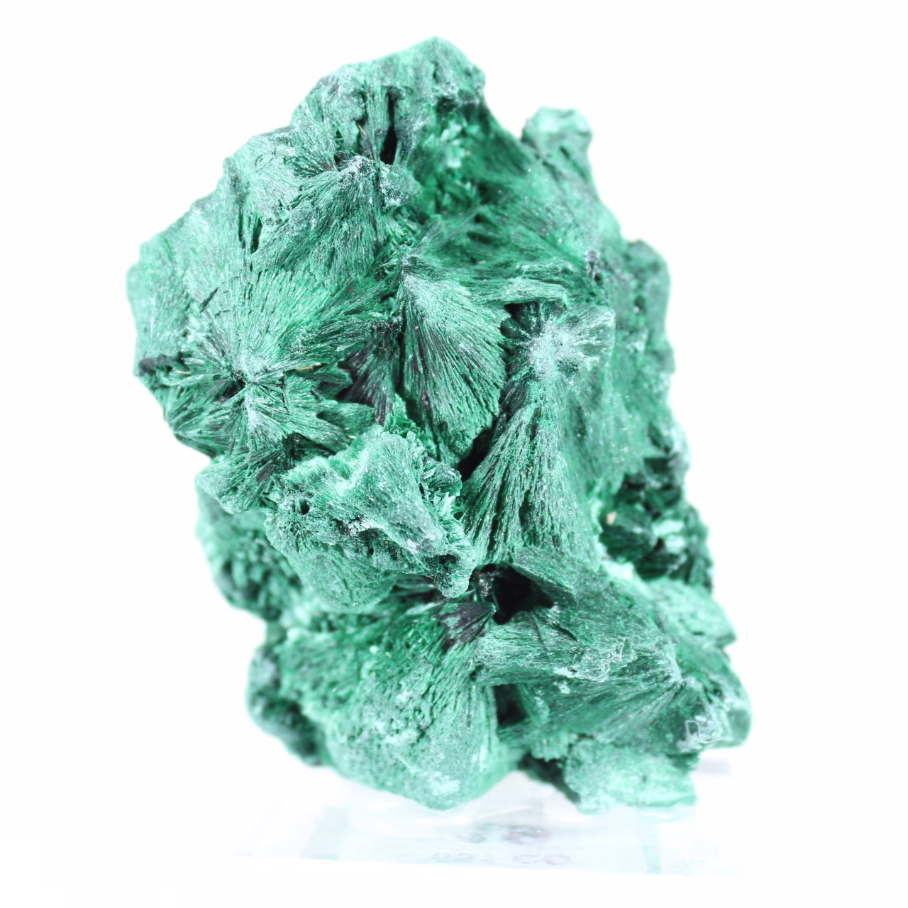 Dichte malachiet met strak vezelpatroon uit Congo, mineraal op acryl