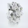 Kristallisatie van Peruaanse octaëdrische pyriet op een ondergrond - 1