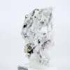 Kristallisatie van Peruaanse octaëdrische pyriet op een ondergrond - 4