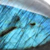 Minerale Vrije Vorm Gepolijste Labradoriet uit Madagaskar - 4
