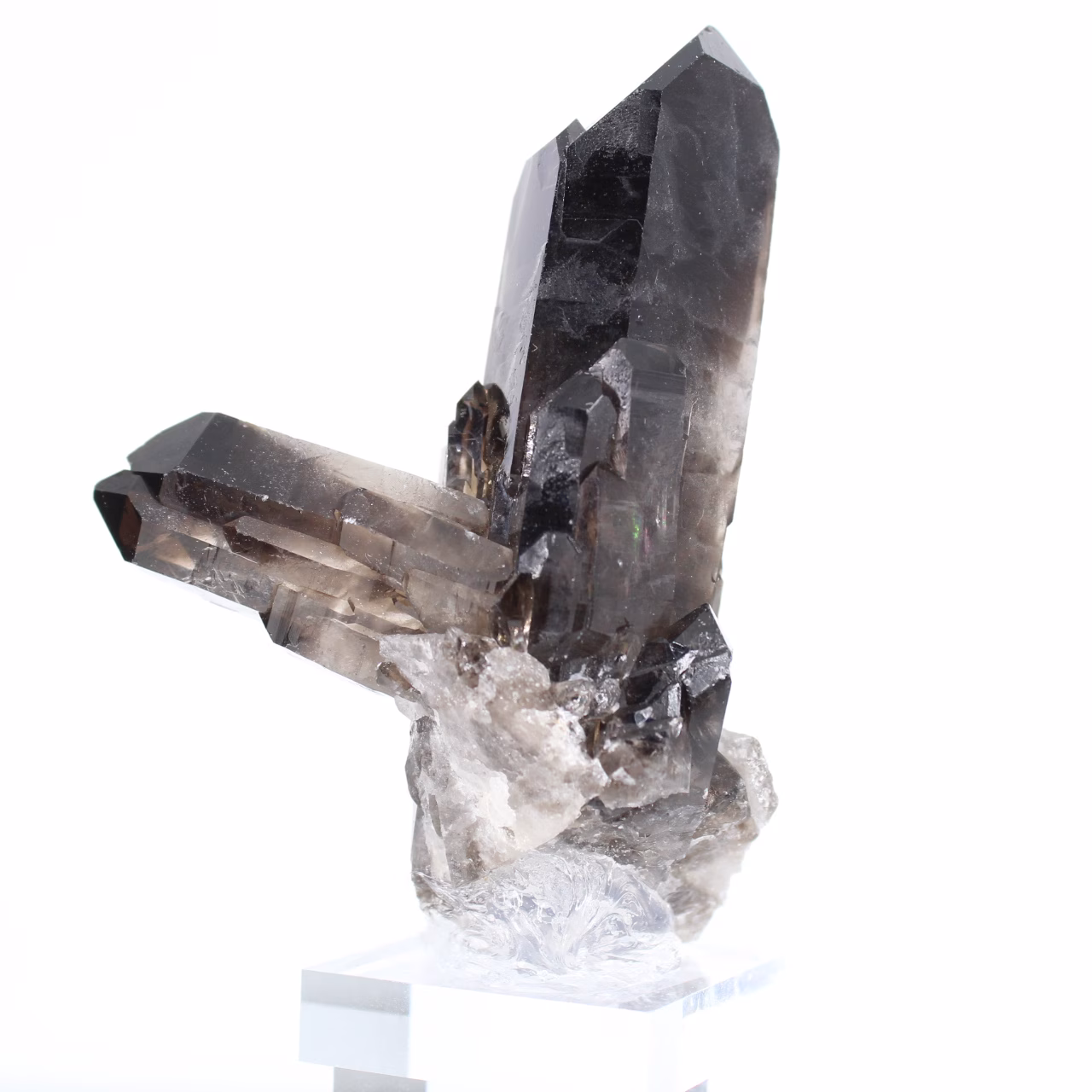 Morionkwartsprisma uit Brazilië, specimen op acrylvoet