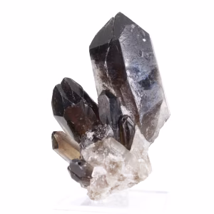 Gedrongen morionkwartskristal uit Brazilië, mineraalspecimen op voet