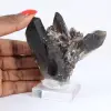 Braziliaanse morionkwarts, decoratief kristal gepresenteerd op voet - 1