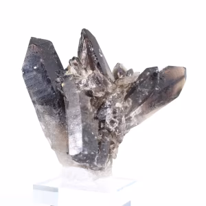 Braziliaanse morionkwarts, decoratief kristal gepresenteerd op voet