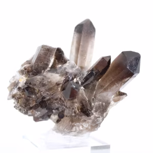 Morionkwartskristal uit Brazilië, zwart mineraal gemonteerd op voet