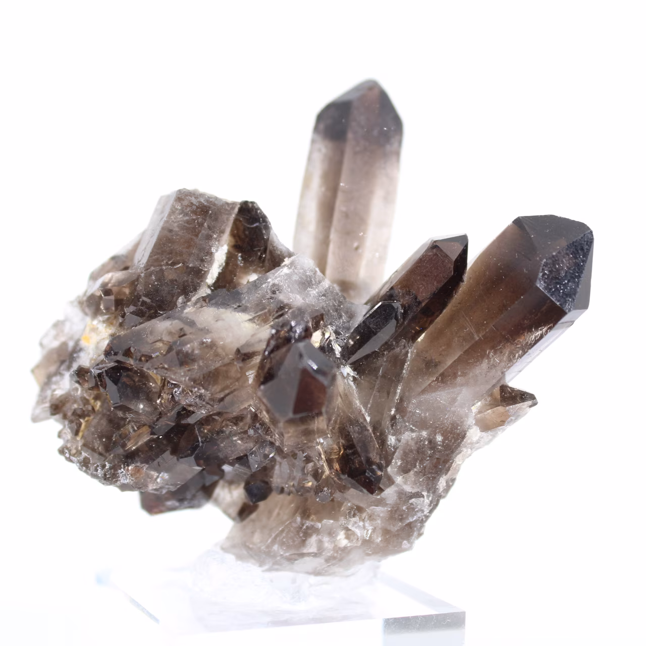 Morionkwartskristal uit Brazilië, zwart mineraal gemonteerd op voet