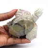 Gebeeldhouwde schildpad in natuurlijke speksteen uit Bolivia - 0