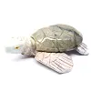 Gebeeldhouwde schildpad in natuurlijke speksteen uit Bolivia - 3