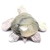 Gebeeldhouwde schildpad in natuurlijke speksteen uit Bolivia - 4
