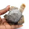 Schildpad van gebeeldhouwde speksteen uit Bolivia - 0