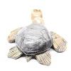 Schildpad van gebeeldhouwde speksteen uit Bolivia - 4