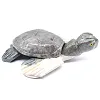 Decoratieve schildpad in natuurlijke Boliviaanse speksteen - 1