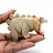 Stegosaurus in speksteen uit Bolivia: prehistorisch beeldje