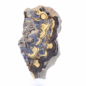 Schalenblende uit Polen, gepolijste plak op acrylen voet