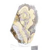 Poolse schalenblende, tweekleurige plak op doorzichtige voet - 2