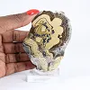 Poolse schalenblende, tweekleurige plak op doorzichtige voet - 1