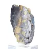 Schalenblende uit Polen, ruwe en gepolijste minerale plak - 4