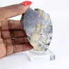 Schalenblende uit Polen, ruwe en gepolijste minerale plak - 1