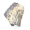 Schalenblende uit Polen, plak met doorzichtige voet - 5