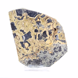 Poolse schalenblende, gepolijste plak, mineralogisch exemplaar