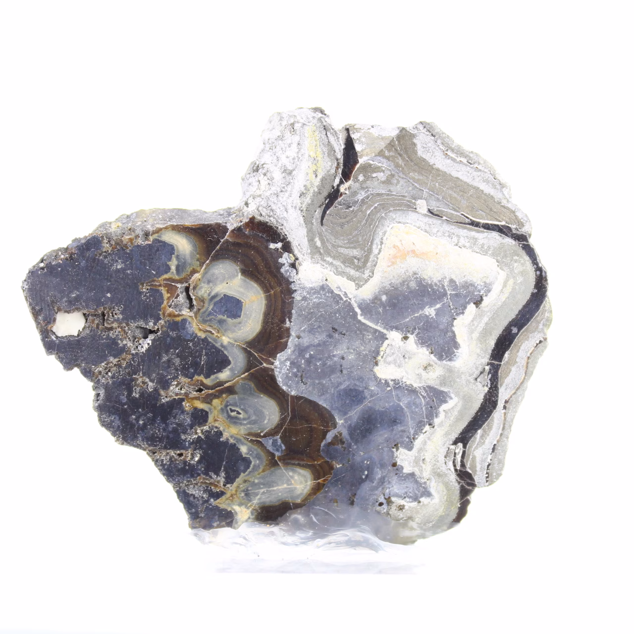 Schalenblende uit Polen, mineraalobject op acrylen voet