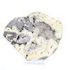 Plak Poolse schalenblende voor mineralencollectie - 5