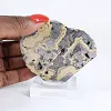 Plak Poolse schalenblende voor mineralencollectie - 1