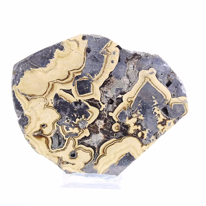Plak Poolse schalenblende voor mineralencollectie