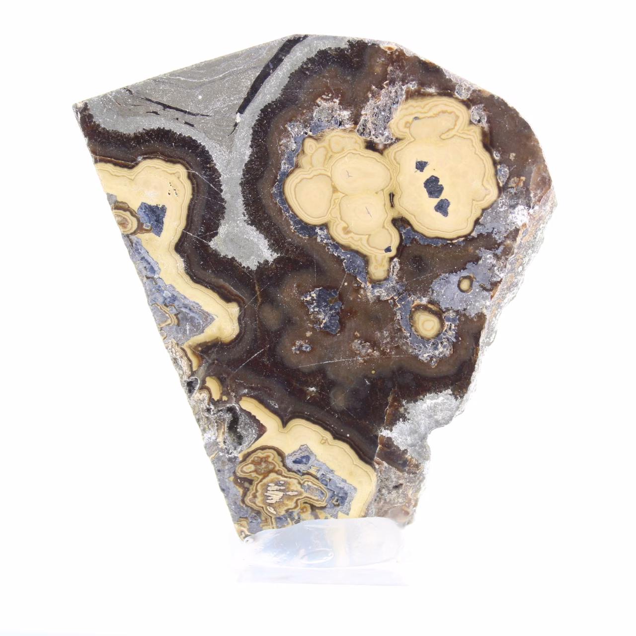 Schalenblende uit Polen, tweezijdig op doorzichtige voet