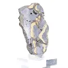 Schalenblende uit Polen, verzamelplak op voet - 2