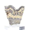 Poolse schalenblende, ruw en gepolijst, pronkstuk - 2