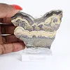 Poolse schalenblende, ruw en gepolijst, pronkstuk - 1