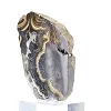 Schalenblende uit Polen, minerale plak van 230 g - 4