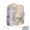 Schalenblende uit Polen met contrasterende oppervlakken op voet - 2