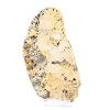 Poolse schalenblende, plak op doorzichtige voet - 5