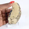 Poolse schalenblende, plak op doorzichtige voet - 1