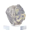 Schalenblende uit Polen, plakexemplaar van 130 g - 2