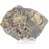 Schalenblende uit Polen, plakexemplaar van 130 g - 5