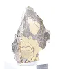 Poolse schalenblende, brede plak voor vitrine - 2