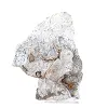 Poolse schalenblende, brede plak voor vitrine - 5