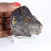 Poolse schalenblende, brede plak voor vitrine - 1