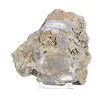 Schalenblende uit Polen, dikke plak op acrylen voet - 5