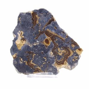 Schalenblende uit Polen, dikke plak op acrylen voet