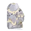 Poolse schalenblende op voet, plak van 240 g - 2