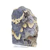Poolse schalenblende op voet, plak van 240 g - 4
