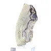 Poolse schalenblende, langwerpige plak op acrylen voet - 2